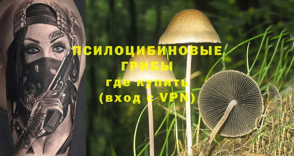 а пвп мука Алзамай