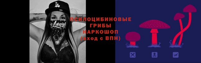 jwh Алексин