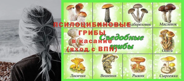 а пвп мука Алзамай