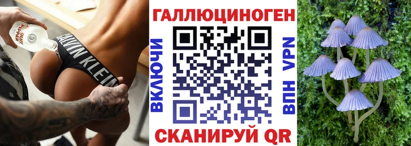 Псилоцибиновые грибы Cubensis  Ковылкино 