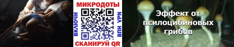 Псилоцибиновые грибы MAGIC MUSHROOMS Ковылкино